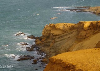 Národní rezervace Paracas