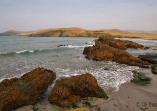 Národní rezervace Paracas