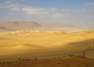 Národní rezervace Paracas