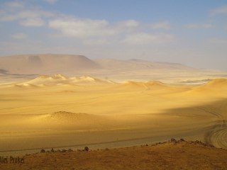 Národní rezervace Paracas