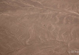Nazca, geoglyf opice