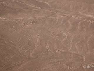 Nazca, geoglyf opice