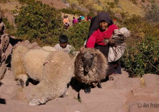 Titicaca, ostrov Isla de Taquile, město Huillanopampa