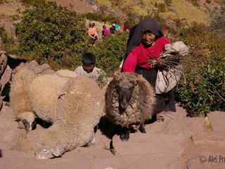 Titicaca, ostrov Isla de Taquile, město Huillanopampa