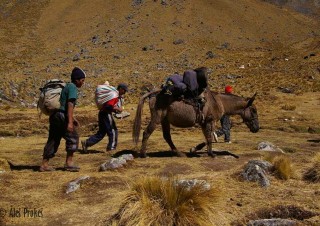 Trek Salkantay na Machu Picchu, Pampa Salkantay