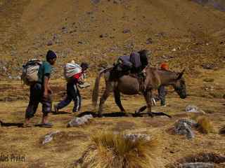 Trek Salkantay na Machu Picchu, Pampa Salkantay