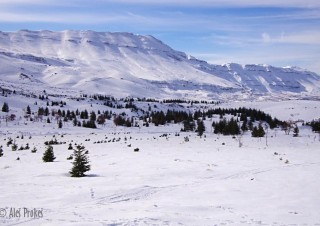 Lyžařské středisko Cedars na svazích Džabal Makmel