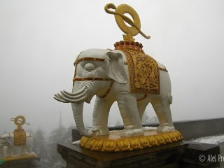 Golden Summit, pohoří Emei Shan