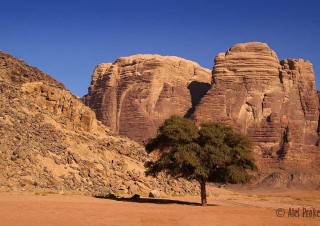 Poušť Wadi Rum