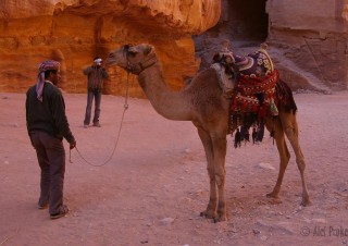 Petra, začátek Fasádní ulice