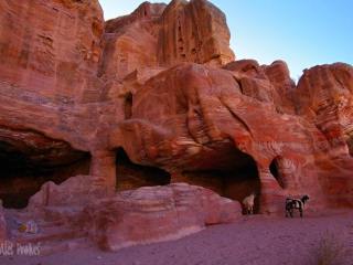 Petra, červený pískovec