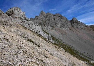 IMGP1523 (1)