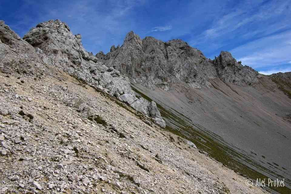 IMGP1523 (1)