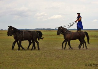 Ukázka umění místních honáků (Čikošů), Národní park Hortobágy