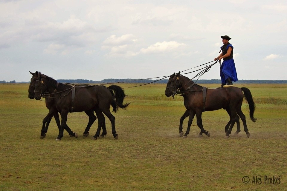 Ukázka umění místních honáků (Čikošů), Národní park Hortobágy