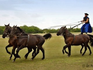 Ukázka umění pastevců (Csikosů), Národní park Hortobágy