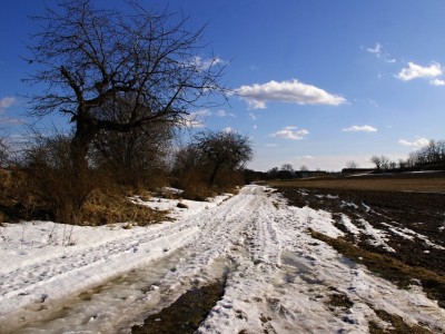 IMGP1081 (1)