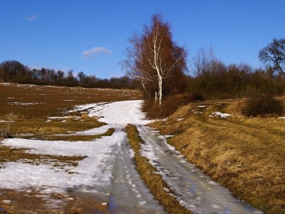 IMGP1083 (1)