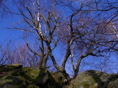 IMGP2232 (1)