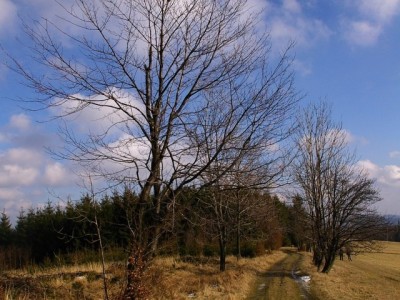 IMGP2248 (1)