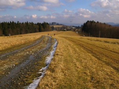 IMGP2255 (1)