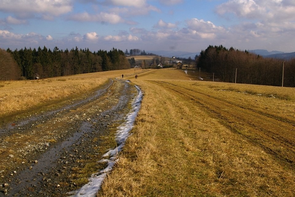 IMGP2255 (1)