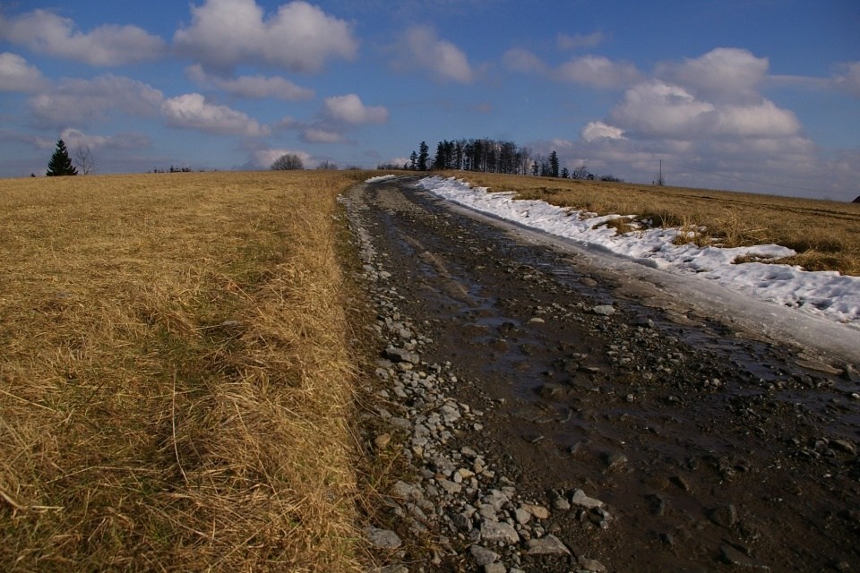 IMGP2258 (1)