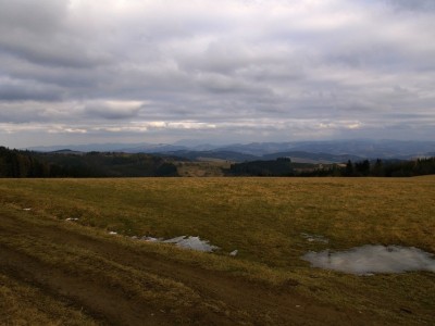 IMGP2279 (1)