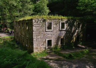 IMGP2492 (1)