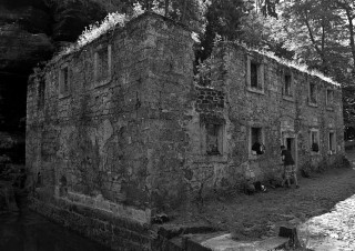 IMGP2506 (1)
