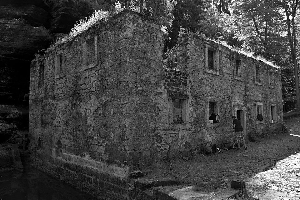 IMGP2506 (1)