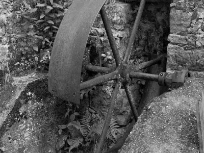IMGP2513 (1)