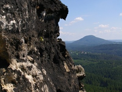 IMGP2586 (1)