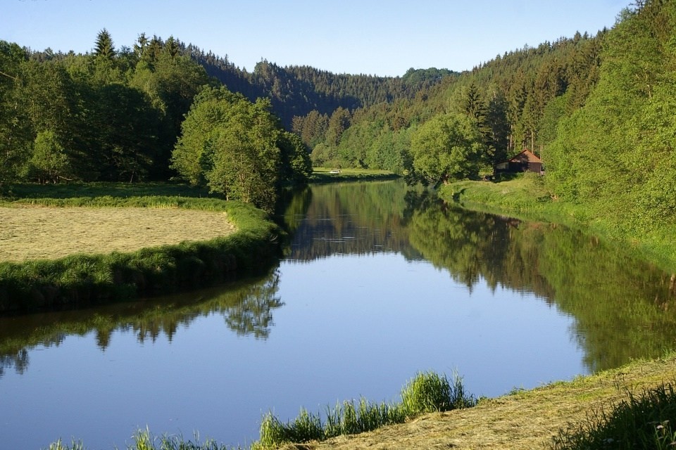 IMGP3124 (1)