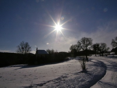 IMGP4445 (1)