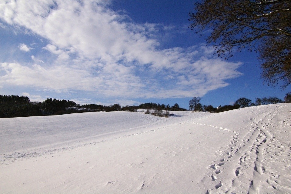 IMGP4446 (1)