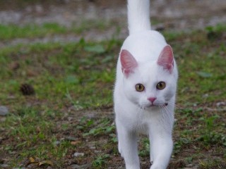 IMGP9776 (1)
