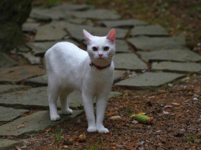 IMGP9805 (1)