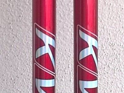 WP_23