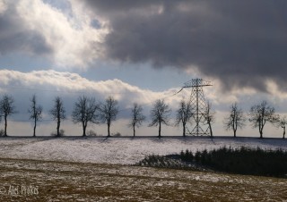 IMGP3679