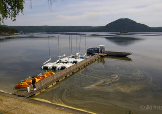 Máchovo Jezero