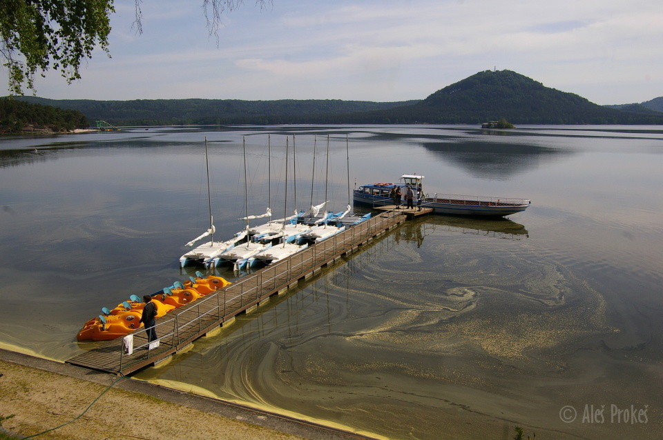 Máchovo Jezero
