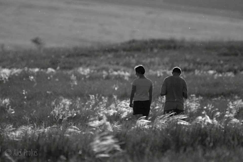 Mohelenská hadcová step
