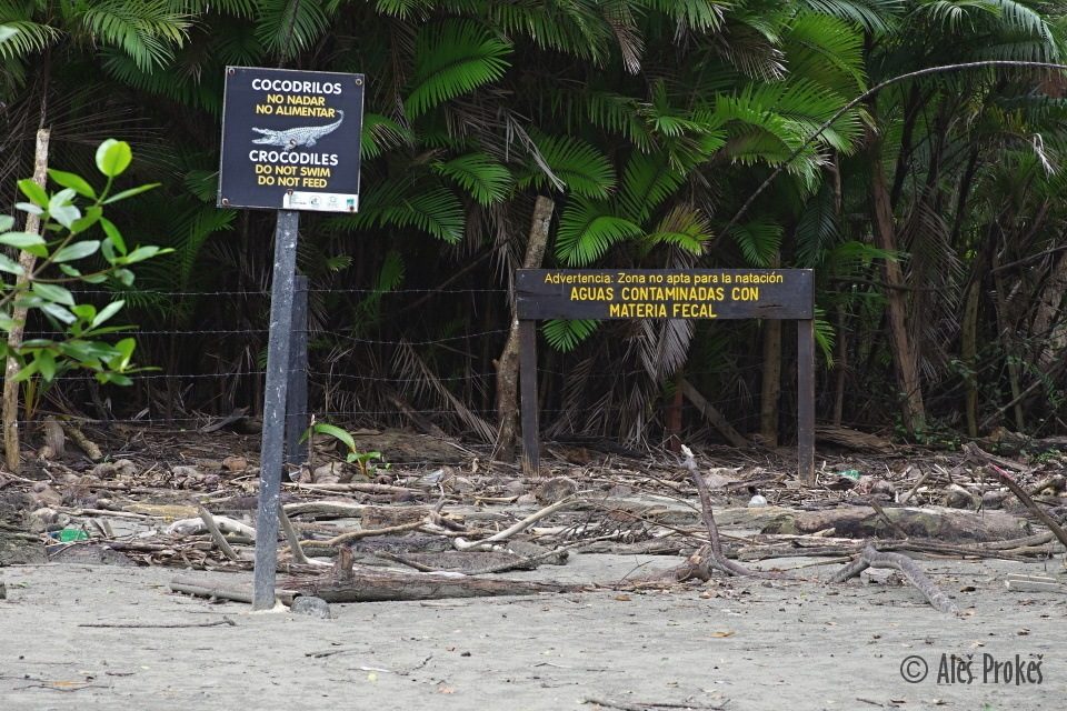Pláž u národního parku Manuel Antonio