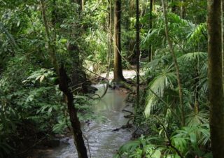 Národní park Soberanía, Panama