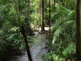 Národní park Soberanía, Panama