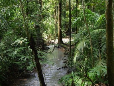 Národní park Soberanía, Panama