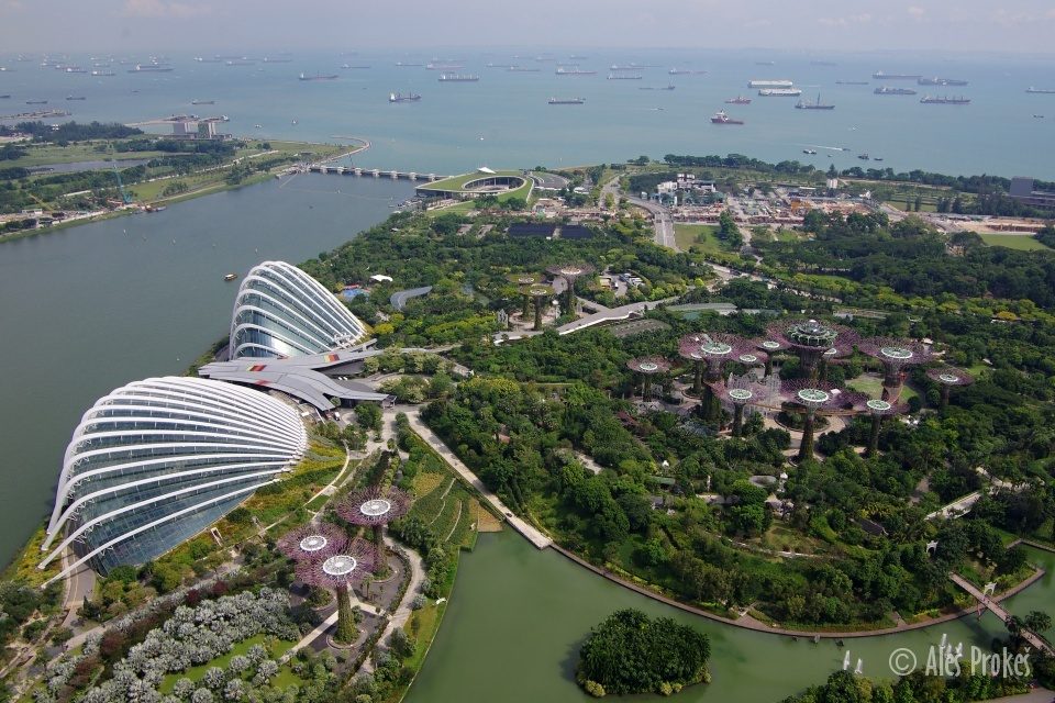 Pohled z Marina Bay Sands