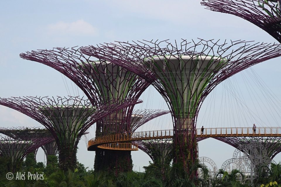 Super stromy v Gardens by the Bay