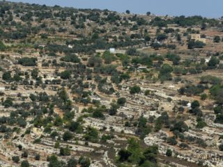 Krajina v Palestině (U Betléma)